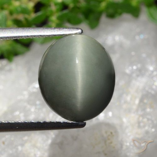 6.02ct Natürlicher Grünliches Grau Quarz-Katzenauge, Oval, Lichtundurchlässig
