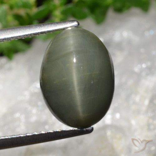 5.98ct Natürlicher Mittelgrün Quarz-Katzenauge, Oval, Lichtundurchlässig