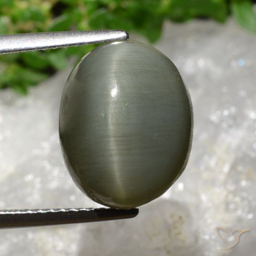 8.13ct Natürlicher Grau Grün Quarz-Katzenauge, Oval, Lichtundurchlässig