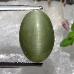 9,17 ctw natürlicher Mittelgrün Quarz-Katzenauge, Oval Schliff, Lichtundurchlässig