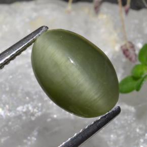 9,17 ctw natürlicher Mittelgrün Quarz-Katzenauge, Oval Schliff, Lichtundurchlässig