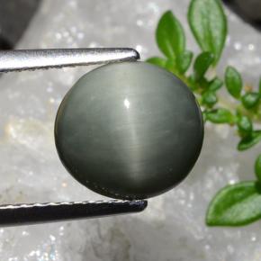 9,17 ctw natürlicher Mittelgrau Quarz-Katzenauge, Oval Schliff, Lichtundurchlässig