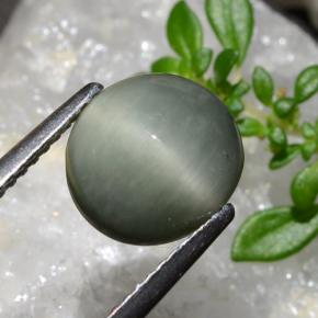 9,17 ctw natürlicher Mittelgrau Quarz-Katzenauge, Oval Schliff, Lichtundurchlässig