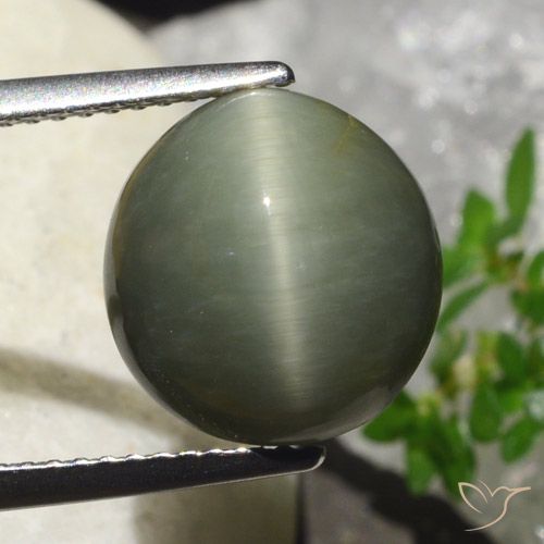 6.23ct Natürlicher Warmes Grün Quarz-Katzenauge, Oval, Lichtundurchlässig