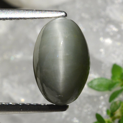 9,17 ctw natürlicher Mittelgrau Quarz-Katzenauge, Oval Schliff, Lichtundurchlässig