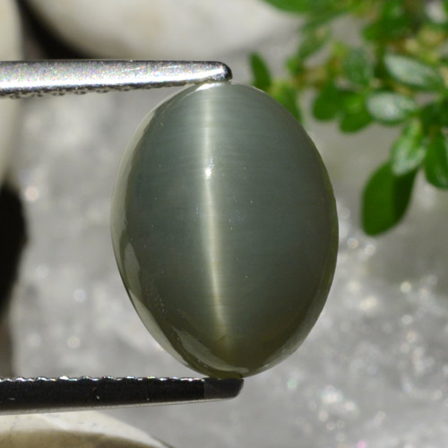 9,17 ctw natürlicher Grünliches Grau Quarz-Katzenauge, Oval Schliff, Lichtundurchlässig