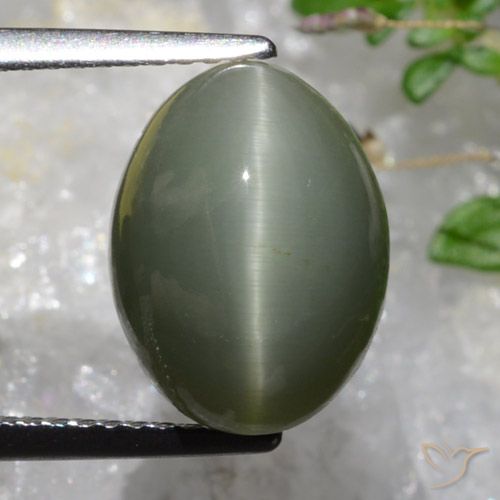 6.37ct Natürlicher Grünliches Grau Quarz-Katzenauge, Oval, Lichtundurchlässig