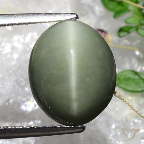5.84ct Natürlicher Graues Moosgrün Quarz-Katzenauge, Oval, Lichtundurchlässig