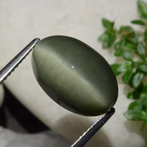 9,17 ctw natürlicher Erdiges Grün Quarz-Katzenauge, Oval Schliff, Lichtundurchlässig