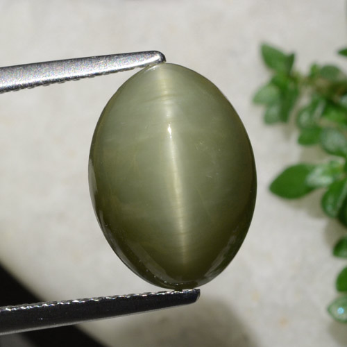 9,17 ctw natürlicher Warmes Grün Quarz Katzenauge, Oval Schliff, Lichtundurchlässig