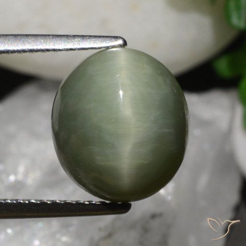 6.79ct Natürlicher Erdiges Grün Quarz-Katzenauge, Oval, Lichtundurchlässig
