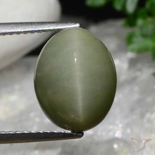 6.34ct Natürlicher Armeegrün Quarz-Katzenauge, Oval, Lichtundurchlässig