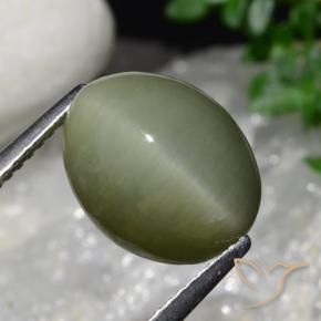 9,17 ctw natürlicher Armeegrün Quarz-Katzenauge, Oval, Lichtundurchlässig