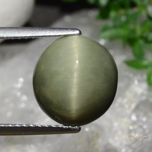 5.58ct Natürlicher Armeegrün Quarz-Katzenauge, Oval, Lichtundurchlässig
