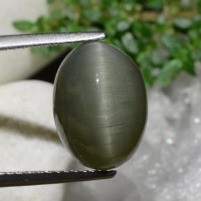 9,17 ctw natürlicher Erdiges Grün Quarz-Katzenauge, Oval Schliff, Lichtundurchlässig