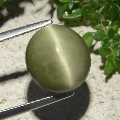 9,17 ctw natürlicher Warmes Grün Quarz-Katzenauge, Oval Schliff, Lichtundurchlässig