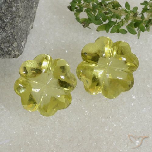 19.42ctw Natürlicher Mittelgelb Quarz, Blumen-Schliff, Transparent