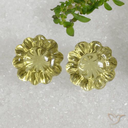 15.30ctw Natürlicher Mittelgelb Quarz, Blumen-Schliff, Transparent
