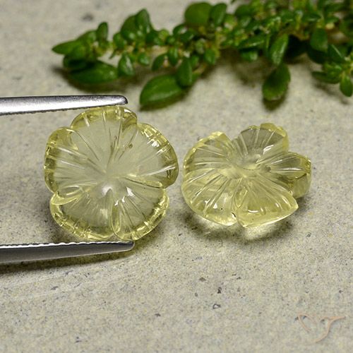 6.36ctw Natürlicher Blasses Cremegelb Quarz, Blumen-Schliff, Transparent