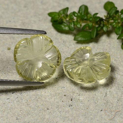 5.37ctw Natürlicher Blasses Cremegelb Quarz, Blumen-Schliff, Transparent