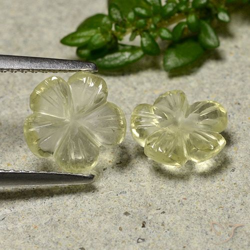 2.39ctw Natürlicher Blasses Cremegelb Quarz, Blumen-Schliff, Transparent