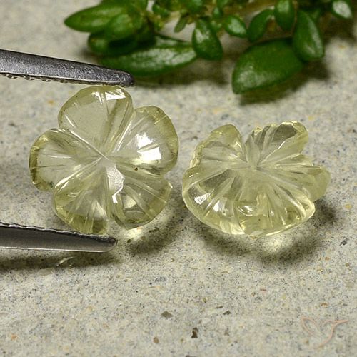 2.00ctw Natürlicher Mittelgelb Quarz, Blumen-Schliff, Transparent