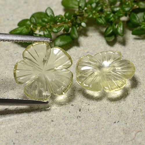 3.68ctw Natürlicher Mittelgelb Quarz, Blumen-Schliff, Transparent