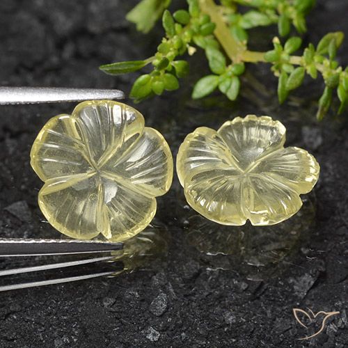 6.83ctw Natürlicher Blasses Cremegelb Quarz, Blumen-Schliff, Transparent