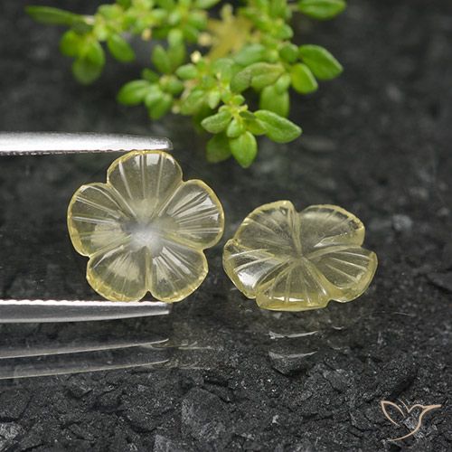 3.50ctw Natürlicher Blasses Cremegelb Quarz, Blumen-Schliff, Transparent