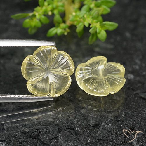 6.13ctw Natürlicher Blasses Cremegelb Quarz, Blumen-Schliff, Transparent