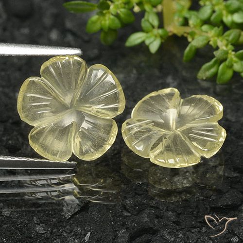 5.58ctw Natürlicher Mittelgelb Quarz, Blumen-Schliff, Transparent