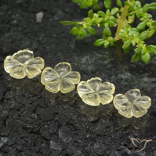 4.51ctw Natürlicher Mittelgelb Quarz, Blumen-Schliff, Transparent