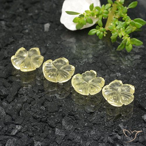 6.95ctw Natürlicher Blasses Cremegelb Quarz, Blumen-Schliff, Transparent