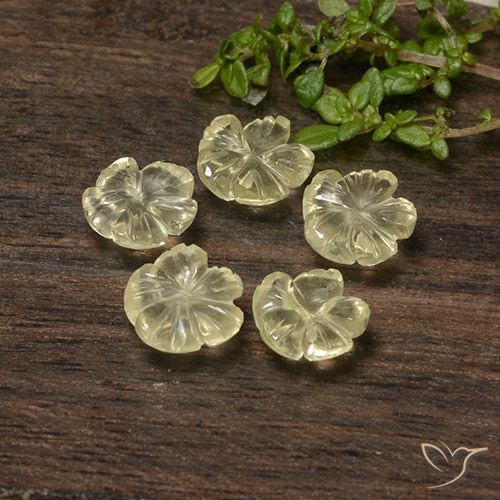 5.70ctw Natürlicher Blasses Cremegelb Quarz, Blumen-Schliff, Transparent