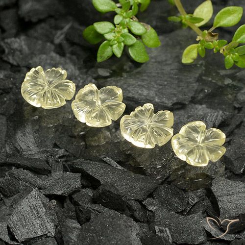 3.74 ct natürliche Mittelhelles Gelb Quarz-Edelsteine, Blumen-Schliff, Transparent