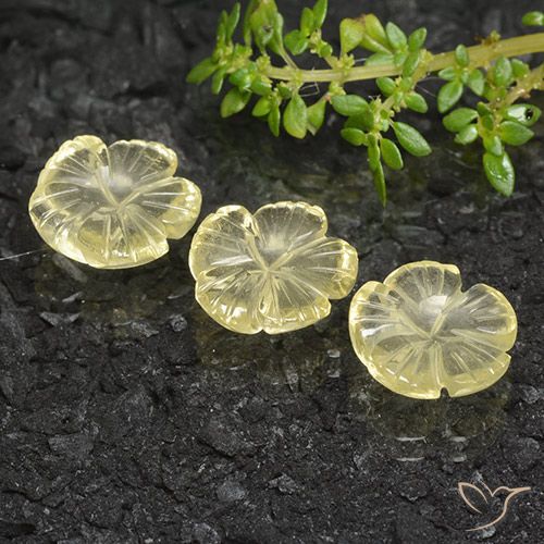 10.19ctw Natürlicher Mittelhelles Gelb Quarz, Blumen-Schliff, Transparent