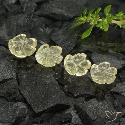 4.30ctw Natürlicher Blasses Gelb Quarz, Blumen-Schliff, Transparent