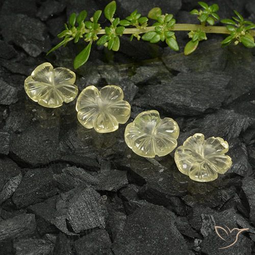 5.43ctw Natürlicher Blasses Cremegelb Quarz, Blumen-Schliff, Transparent