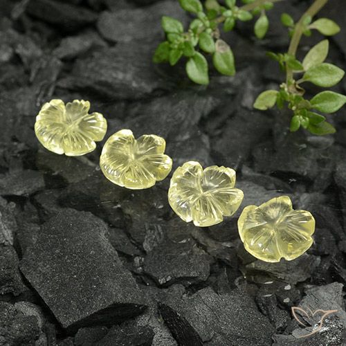 5.93ctw Natürlicher Helles Ananasgelb Quarz, Blumen-Schliff, Transparent