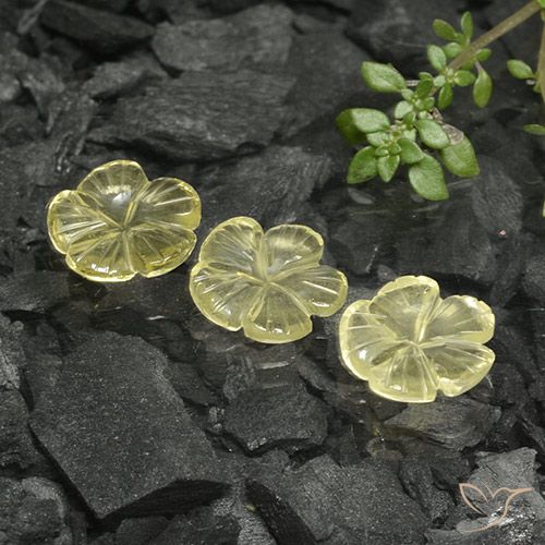 7.02ctw Natürlicher Blasses Cremegelb Quarz, Blumen-Schliff, Transparent