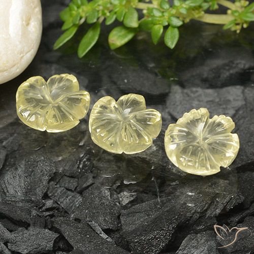 6.74ctw Natürlicher Mittelgelb Quarz, Blumen-Schliff, Transparent