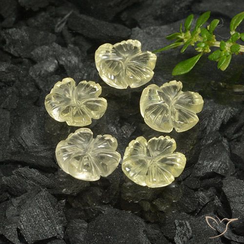 7.28ctw Natürlicher hellgelb Quarz, Blumen-Schliff, Transparent