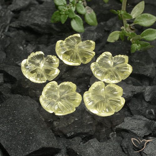 6.01ctw Natürlicher hellgelb Quarz, Blumen-Schliff, Transparent