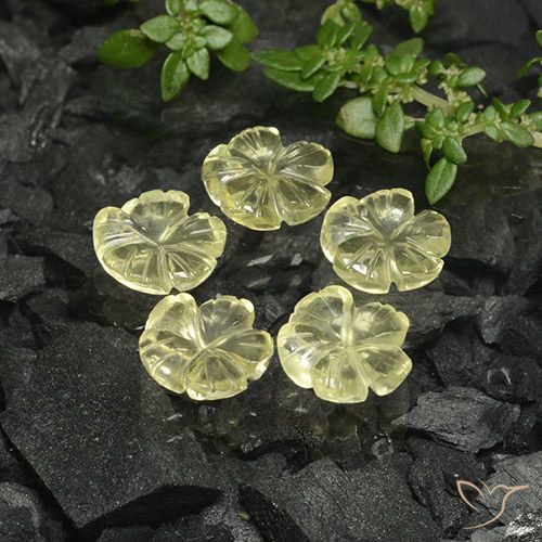 6.89ctw Natürlicher hellgelb Quarz, Blumen-Schliff, Transparent