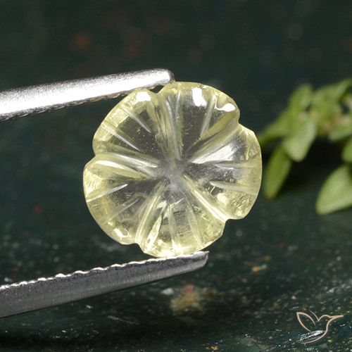 1.55ct Natürlicher Mittelgelb Quarz, Blumen-Schliff, Transparent