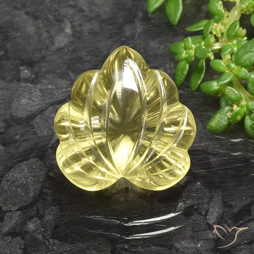 8.86ct Natürlicher Helles Ananasgelb Quarz, Blumen-Schliff, Transparent