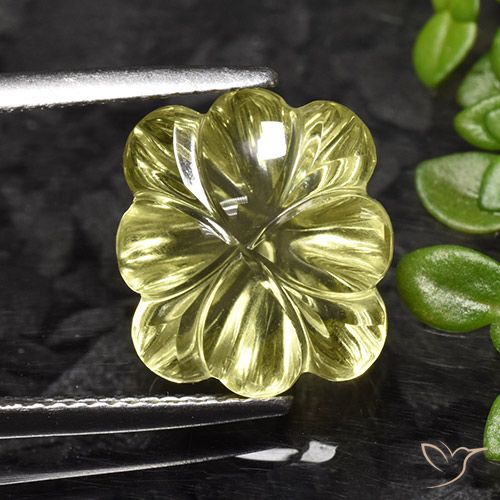 7.25ct Natürlicher Helles Maisgelb Quarz, Blumen-Schliff, Transparent