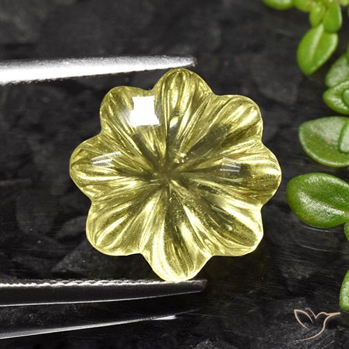 8.23ct Natürlicher Helles Ananasgelb Quarz, Blumen-Schliff, Transparent