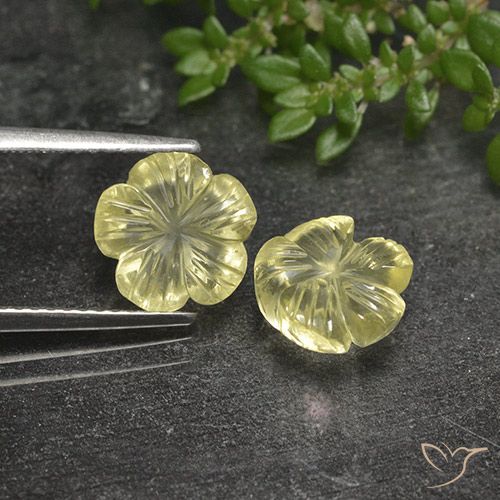 3.99ctw Natürlicher Blasses Gelb Quarz, Blumen-Schliff, Transparent