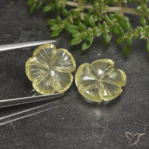6.48ctw Natürlicher Blasses Cremegelb Quarz, Blumen-Schliff, Transparent